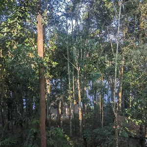 7 Heaven Ambalavayal