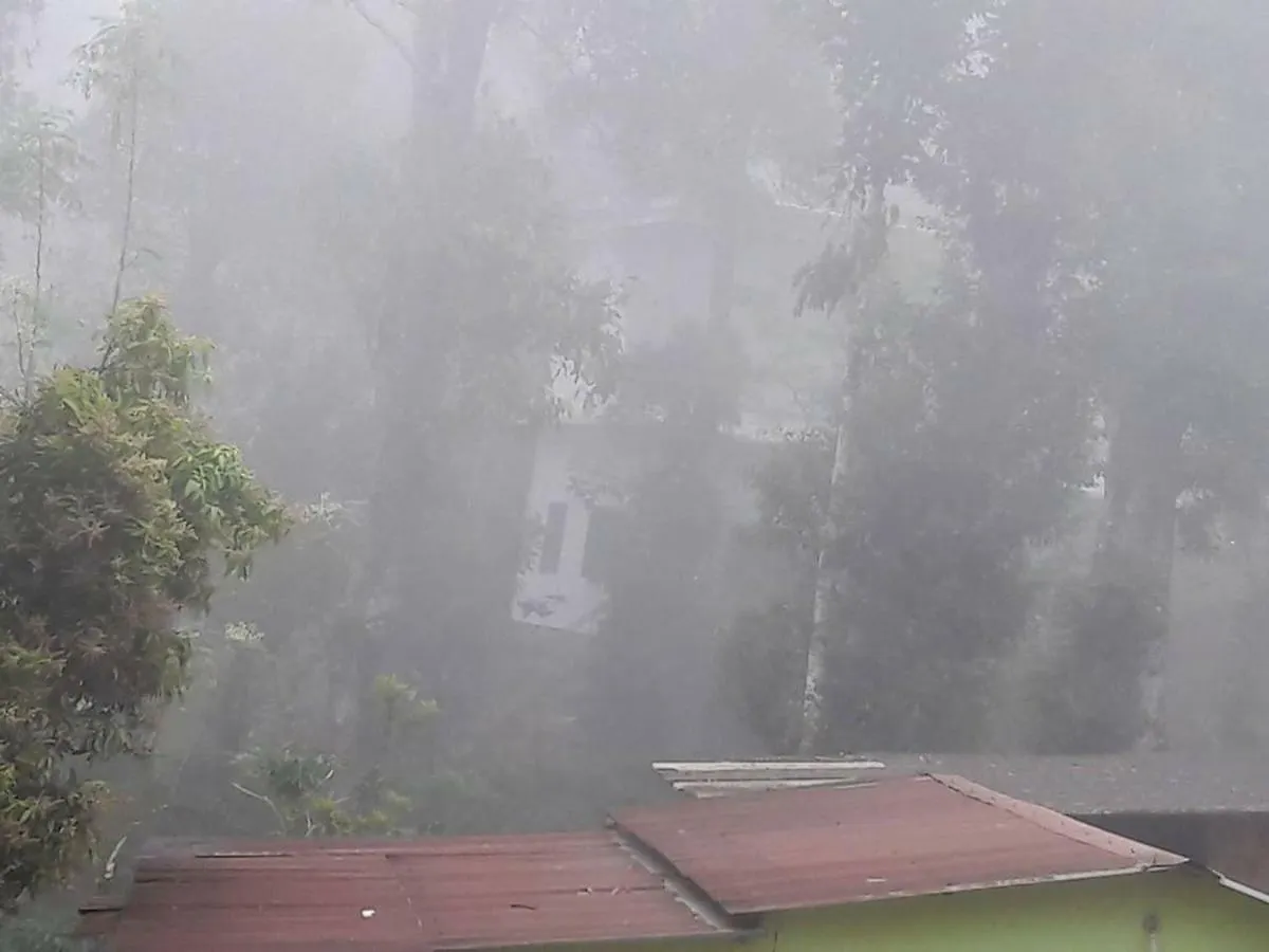 Wayanad Stay .The Pepper Suite Ambalavayal Bed & Breakfast