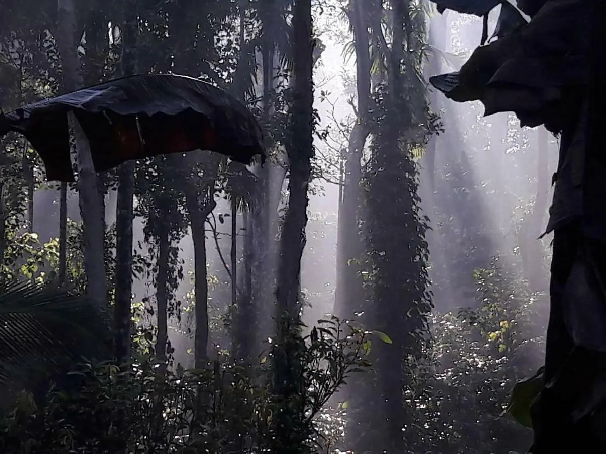 Wayanad Stay .The Pepper Suite Ambalavayal 3*,  India